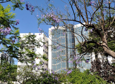 Instituto de História da Arte